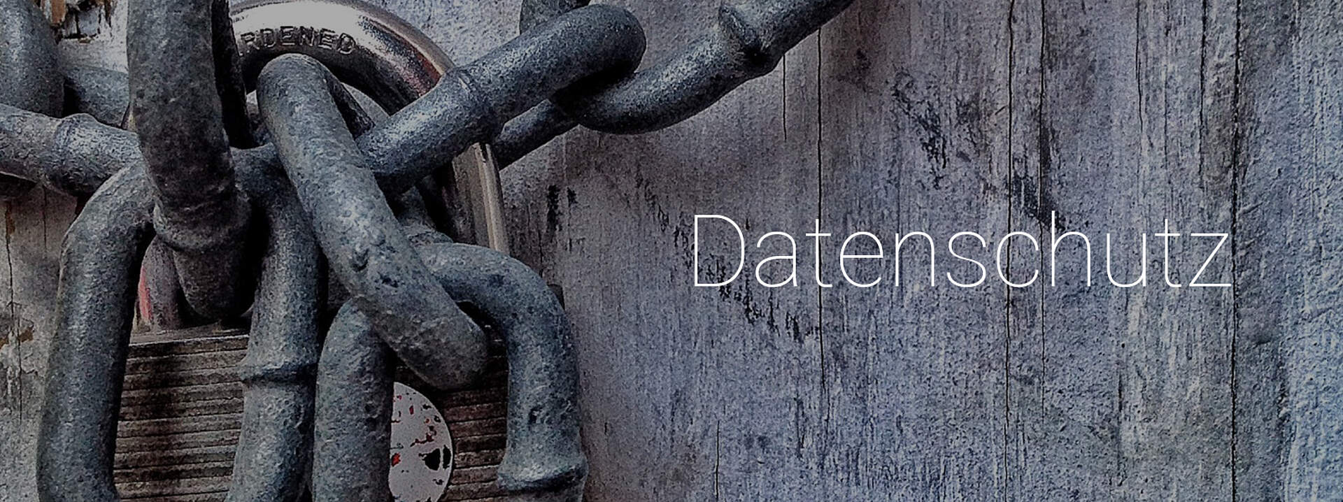 Web portal and data protection Graphic with a padlock and the words "data protection"